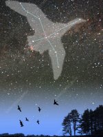 R5000730-Cygnus_Constellation.jpg